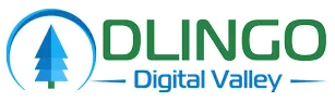 Dlingo Digital Valley